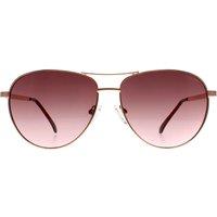 Aviator Shiny Rose Gold Bordeaux Gradient GF6157