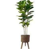Pegdev 180cm Premium Artificial Fiddle Fig Tree with Woven Effect Planter in Green