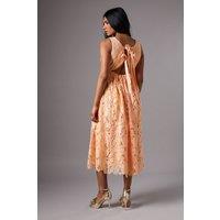 Petite Lace Midi Dress