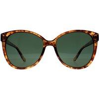 montana Women's Cat Eye Shiny Havana Soft Demi G15 Green Polarized MP74 in Brown