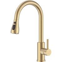 Appaso Kitchen Sink Taps Mixer with 3 Spary Modes Single Handle Gold