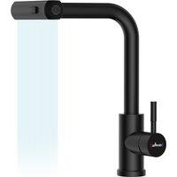 Appaso Kitchen Taps with Pull Out Spray Stainless Steel Gold in Black