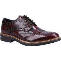 Base London Men's Woburn Hi-Shine Brogue Shoe in Wine | Size: 12