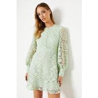 Oasis Women's Lace Button Down Mini Tea Dress in Sage | Size: 16