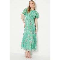 Oasis Women's Occasion Floral Lace Bodice Pleated Midi Dress in Sage | Size: 14