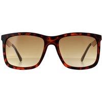 Guess Men's Rectangle Dark Havana Brown Gradient GF0171