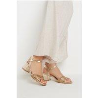 Long Tall Sally Women's Woven Strap Block Heels in Gold | Size: 9