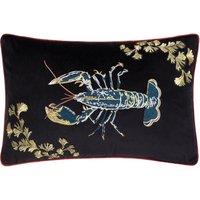 Paoletti Atlantica Embroidered Velvet Cushion in Black | Size: 40 cm x 60 cm