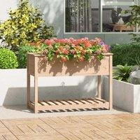 Berkfield Home Planter with Shelf 111.5x54x81 cm Solid Wood Pine in Brown
