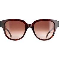 Paul Smith Women's Round Dark Turtle Brown Gradient PSSN047 Darcy