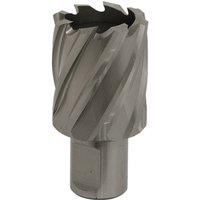 Loops 32mm x 25mm Depth Rotabor Cutter - M2 Steel Annular Metal Core Drill 19mm Shank in Metallics