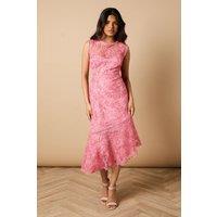 Oasis Women's Petite Floral Lace Scallop Detail Midi Dress in Coral | Size: 14