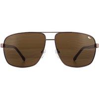 Lacoste Men's Aviator Brown Brown Gradient L162S Sunglasses