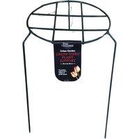 Samuel Alexander 3 x Metal Herbaceous Plant Support Grow Through Small 40cm x 20cm in Dark Green | Size: 40 cm x 20 cm