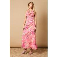 Oasis Women's Printed Mesh Dobby Halterneck Dress in Pink | Size: 14