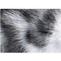 Warren Reed - Designer Silver Tabby Cat Fur Print Chopping Board in Grey