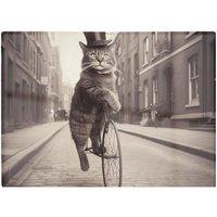 Warren Reed - Designer Victorian Cat Riding A Bike Chopping Board in Black