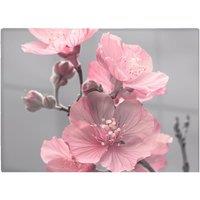 Warren Reed - Designer Delicate Pink Flowers Chopping Board