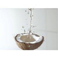Warren Reed - Designer Splashing Coconut: A Fluid Moment Chopping Board in White