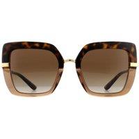 Dolce & Gabbana Women's Square Top Havana on Transparent Brown Brown Gradient Sunglasses