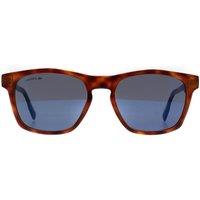 Lacoste Women's Cat Eye Tortoise Blue L988S in Brown