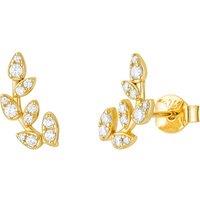 Harfi Women's Sparkling Leaf Branch Gold Plated Stud Earrings