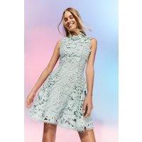 The Collector Applique Lace Mini Dress