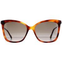Jimmy Choo Women's Cat Eye Havana Brown Gradient MACI/S