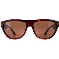 Serengeti Men's Cat Eye Matte Red Tortoise Mineral Drivers Polarized Pancho in Brown
