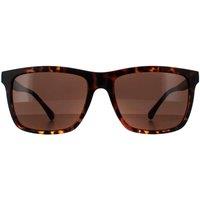 SMARTY Men's Square Tortoise Brown Brown SB2201