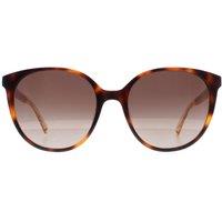 Kate Spade Women's Oval Havana Brown Gradient Kimberlyn/G/S