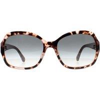 Kate Spade Women's Butterfly Havana Pattern Pink Green Gradient Amberlynn/S in Brown