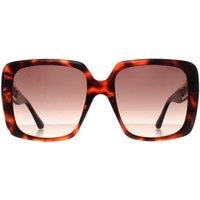 Guess Women's Square Dark Havana Brown Gradient GU7689 in Black
