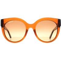 Salvatore Ferragamo Women's Cat Eye Crystal Caramel Brown Gradient SF1031S