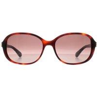 Kate Spade Women's Butterfly Shiny Dark Havana Brown Gradient Izabella/G/S