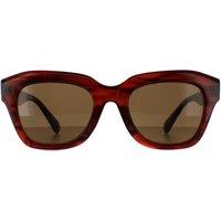 SMARTY Women's Square Demi Transparent Brown Brown SB2311