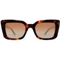 Prive Revaux Women's Cat Eye Tortoise Brown Gradient Buena Vista 2.0