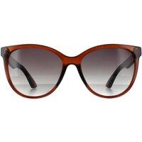 SMARTY Women's Round Transparent Brown Grey SB2312