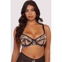 Playful Promises Women's Olivia Contrast Embroidery Balconette Bra in Black | Size: 32F
