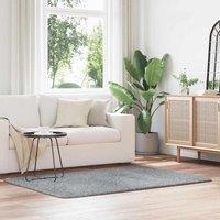 Berkfield Home Shaggy Rug High Pile NAVARRA Silver Grey 120x170 cm Polyester | Size: Medium