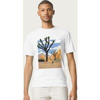 US National Parks Men's Joshua Trees In The Distance T-Shirt in White | Size: Small