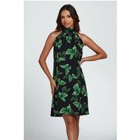 FS Collection Women's Butterfly Print Halter Neck Tie Back Mini Dress In Green | Size: Medium