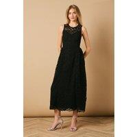 Oasis Women's High Neck Lace Detailed Midi Dress in Mocha | Size: 8