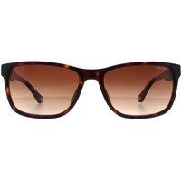 Police Men's Rectangle Shiny Dark Havana Brown Gradient SPLB40N Arcade 2 Sunglasses