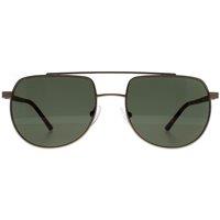 Aviator Matte Light Gold Green CK20301S