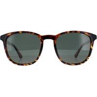 Police Men's Round Shiny Dark Havana Green Polarized SPLF18E in Brown