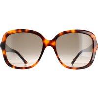 Jimmy Choo Women's Square Havana Brown Gradient SADIE/S