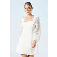 Coast Women's Long Sleeve Lace Sequin Bridal Mini Dress in Ivory | Size: 12
