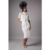 Coast Women's Lace Pearl Button Pencil Skirt in Ivory | Size: 10