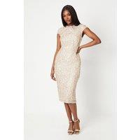 Coast Women's Cap Sleeve Pearl Embellished Pencil Dress in Champagne | Size: 10